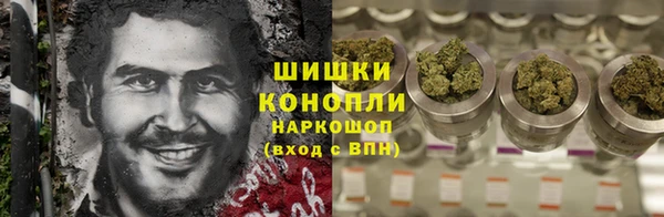 тгк Лиски