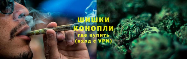тгк Лиски